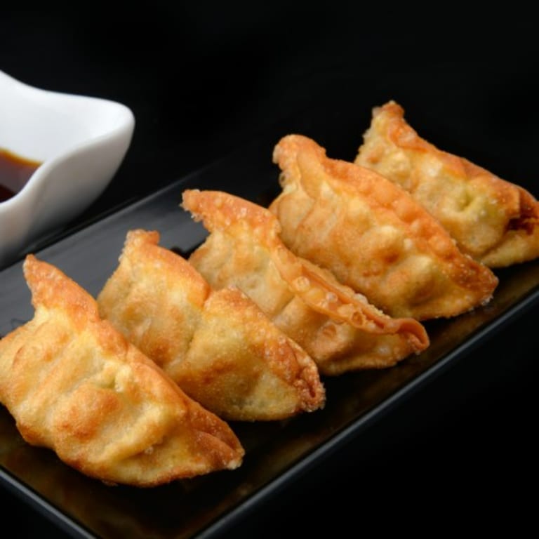 Savor Our Gyoza